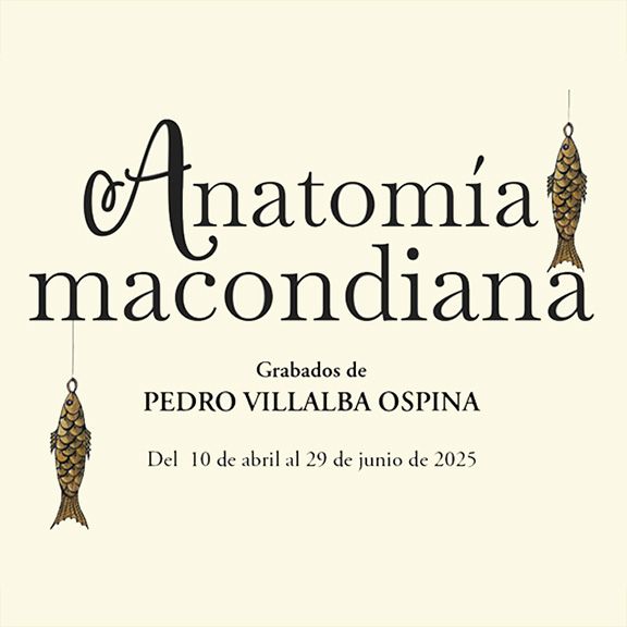 Anatomía macondiana. Ilustraciones de Pedro Villalba Ospina