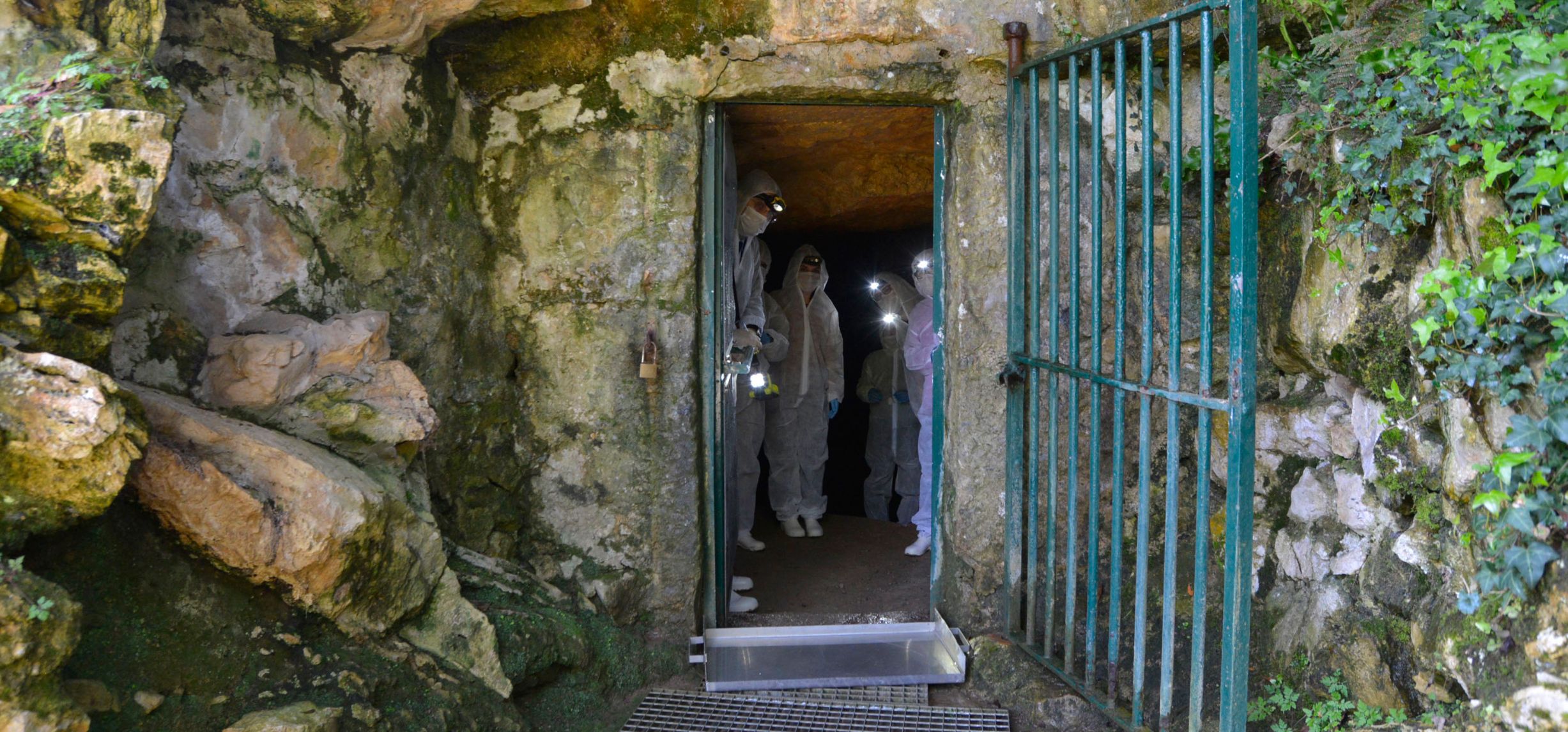 Visita a la cueva de Altamira