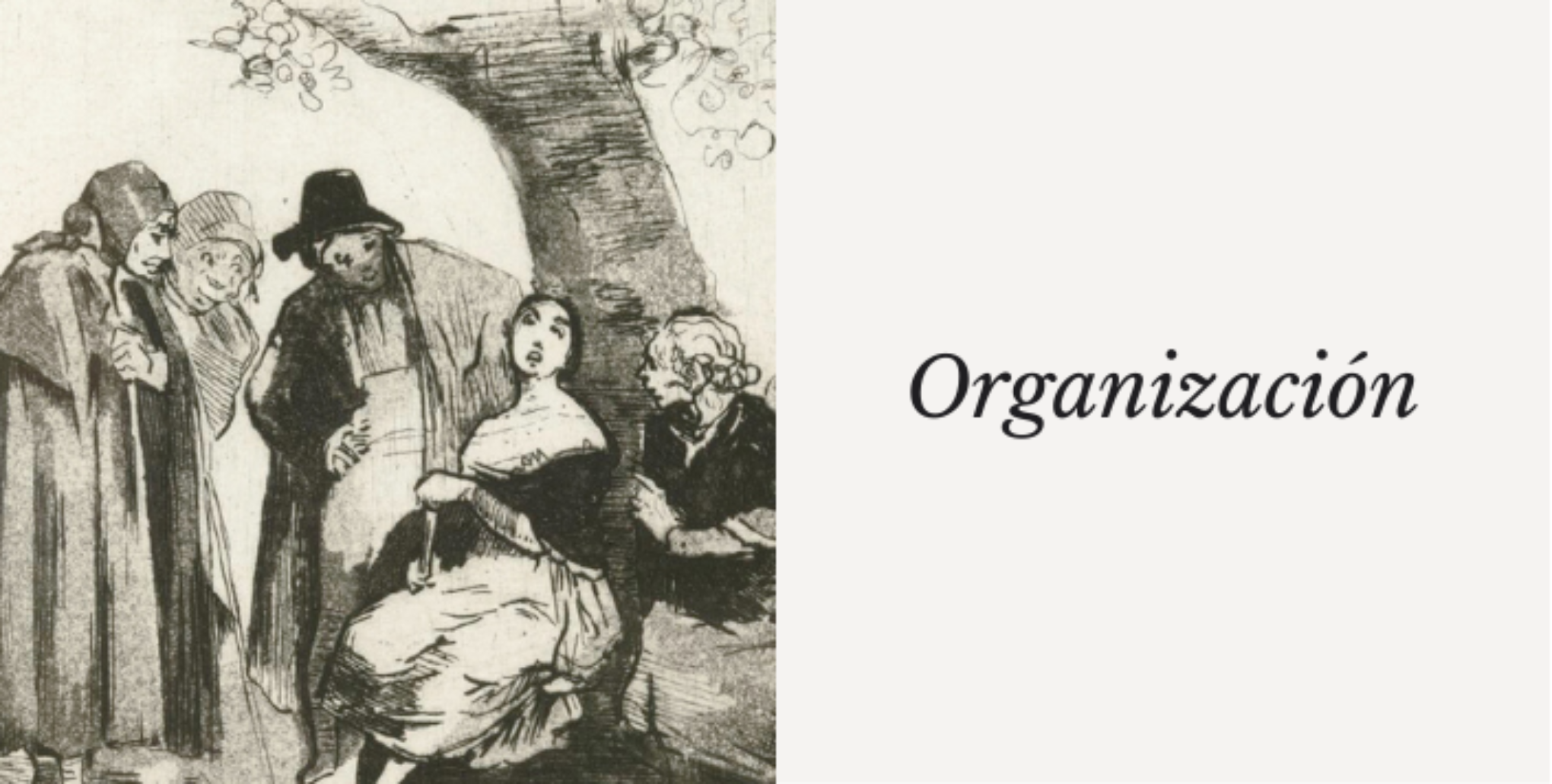 Organización